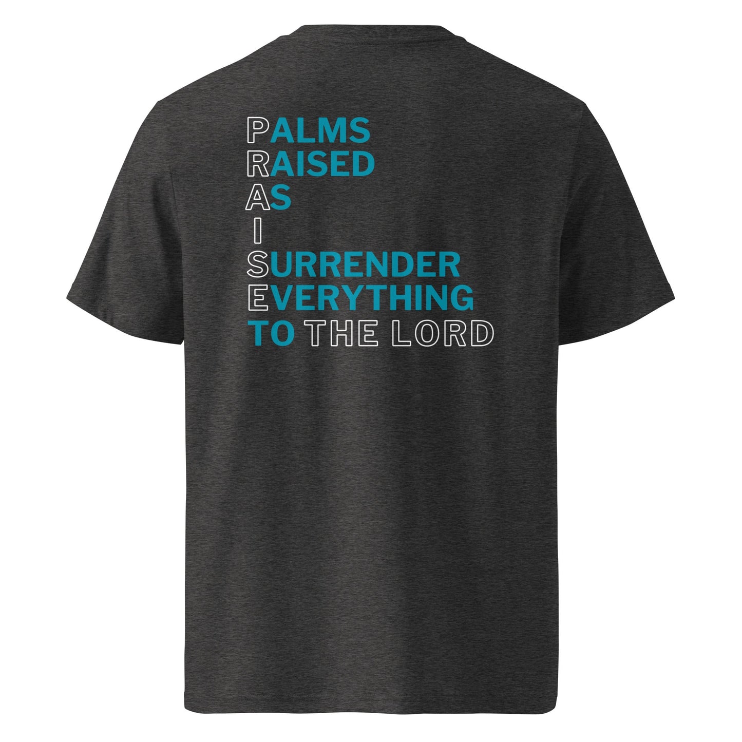 Praise the Lord 100% Organic Cotton T-Shirt-Perfect Love Designs