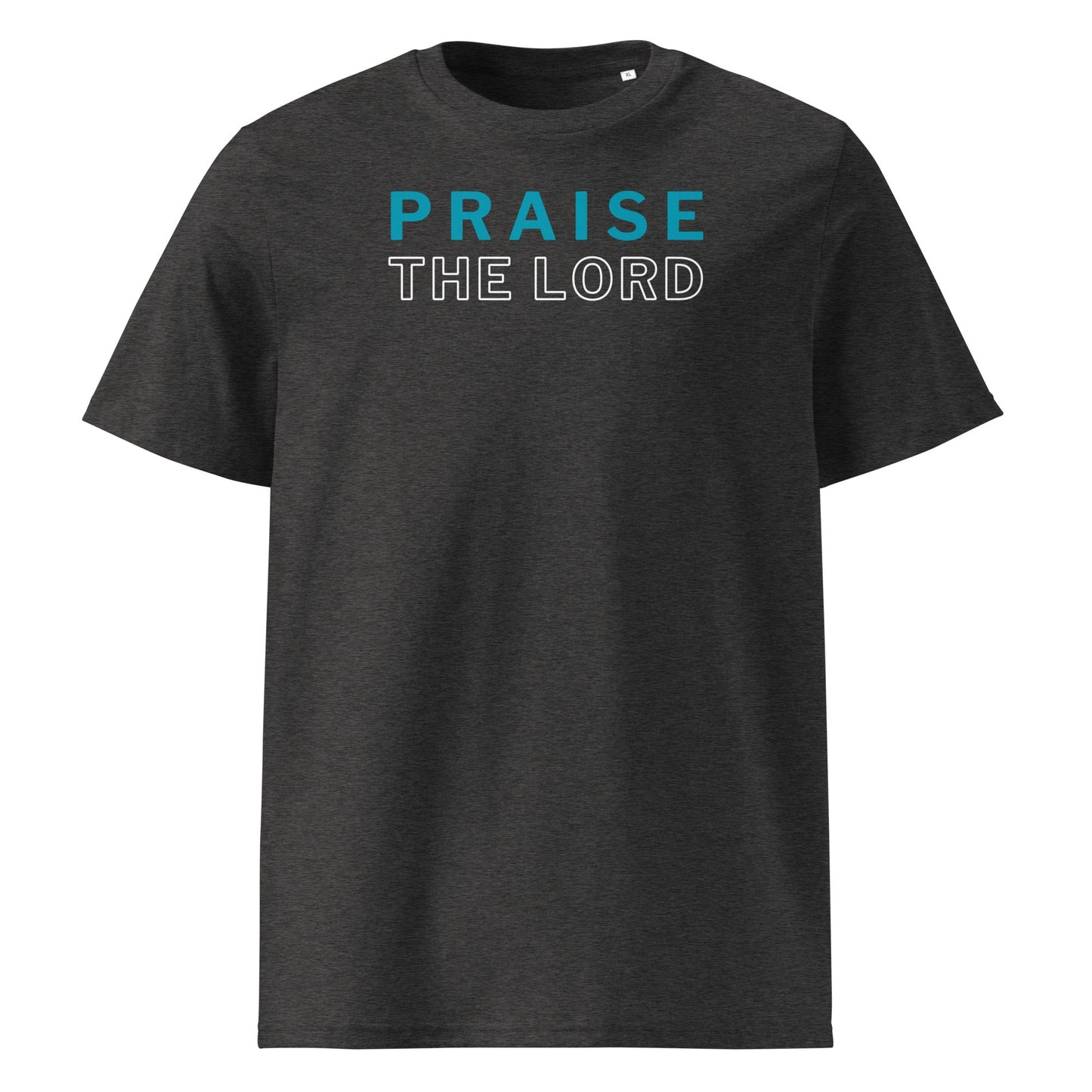 Praise the Lord 100% Organic Cotton T-Shirt-Dark Heather Grey-S-Perfect Love Designs